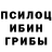 Псилоцибиновые грибы ЛСД Artem Horbenko
