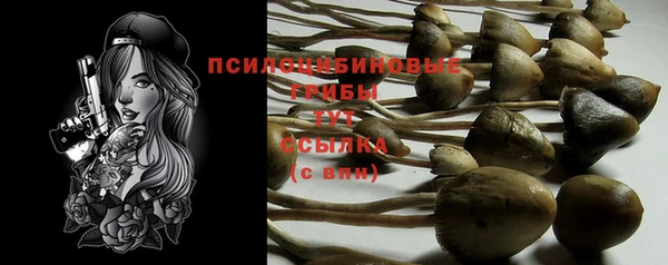 гидропоника Покачи