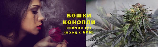 гидропоника Покачи