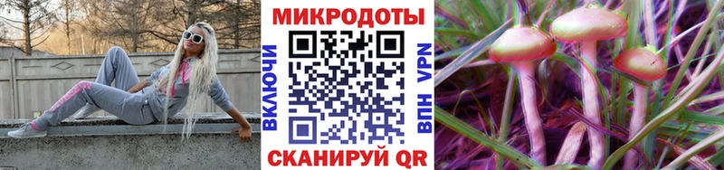 Галлюциногенные грибы мухоморы  Торопец 
