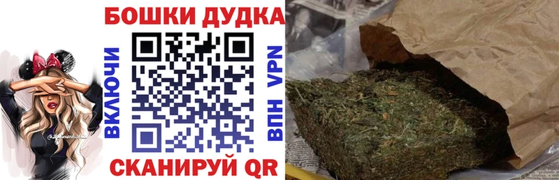 Бошки Шишки планчик  Торопец 